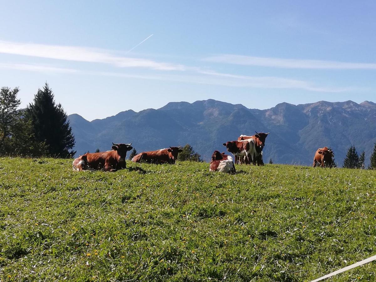 Brunarica Na Goreljeku Bohinj Ngoại thất bức ảnh