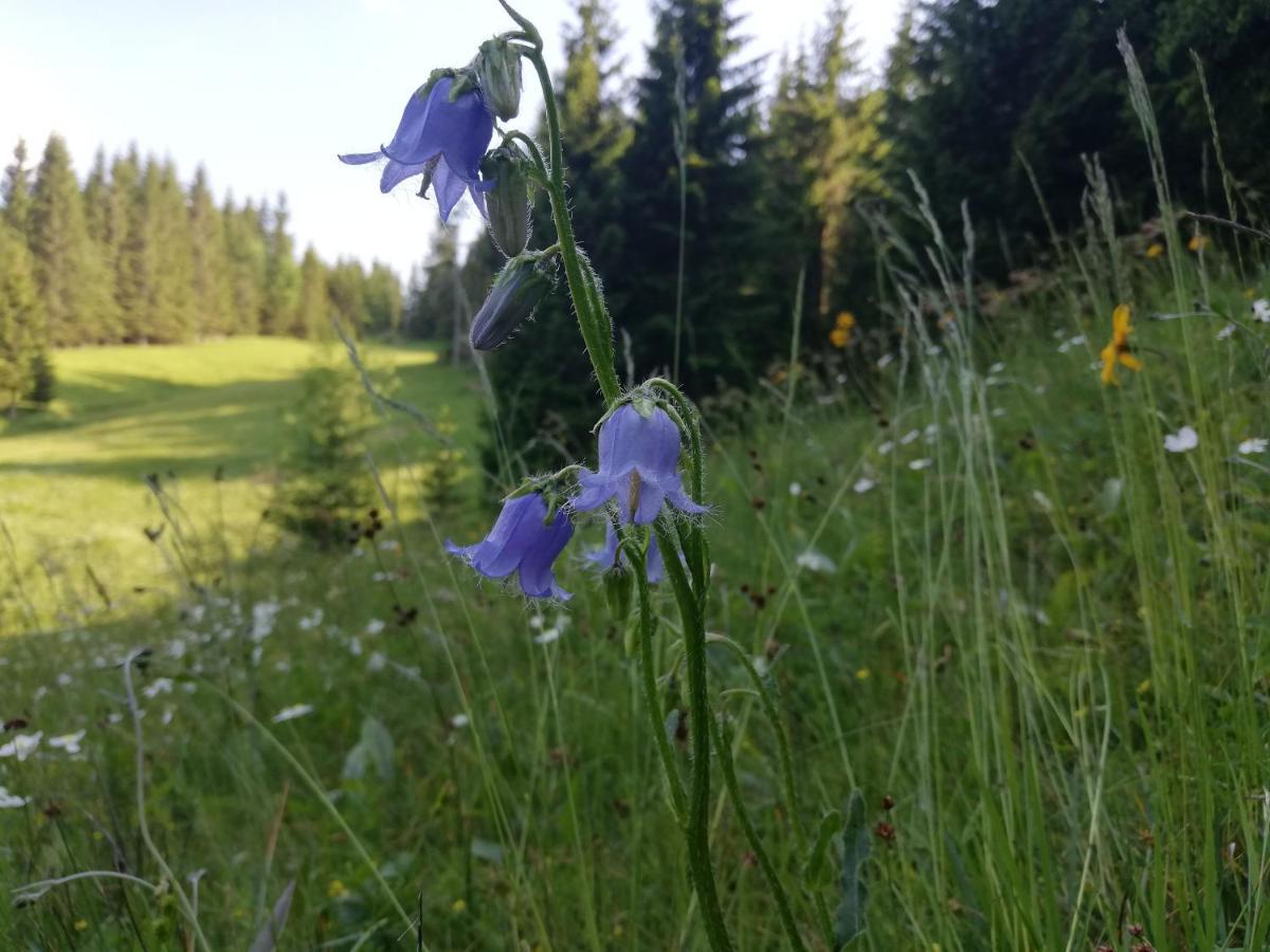 Brunarica Na Goreljeku Bohinj Ngoại thất bức ảnh