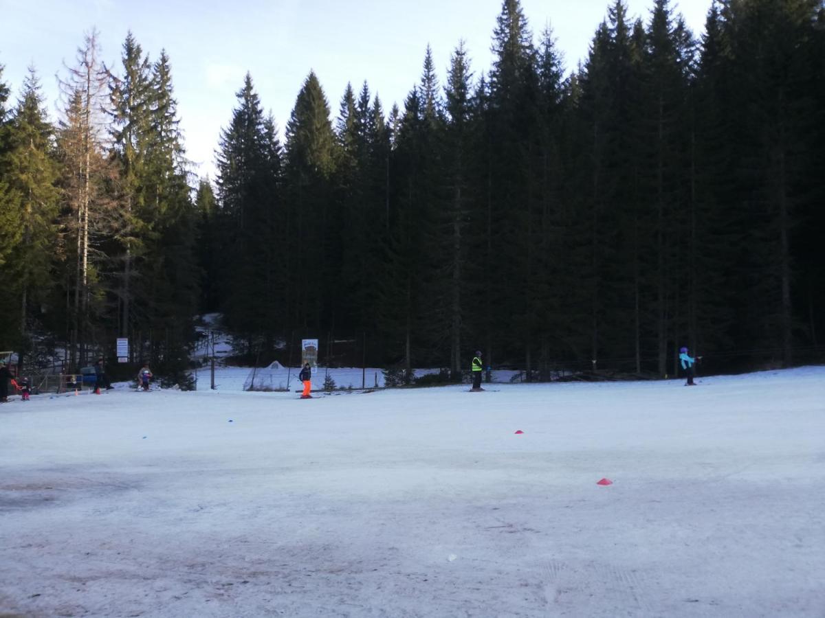 Brunarica Na Goreljeku Bohinj Ngoại thất bức ảnh