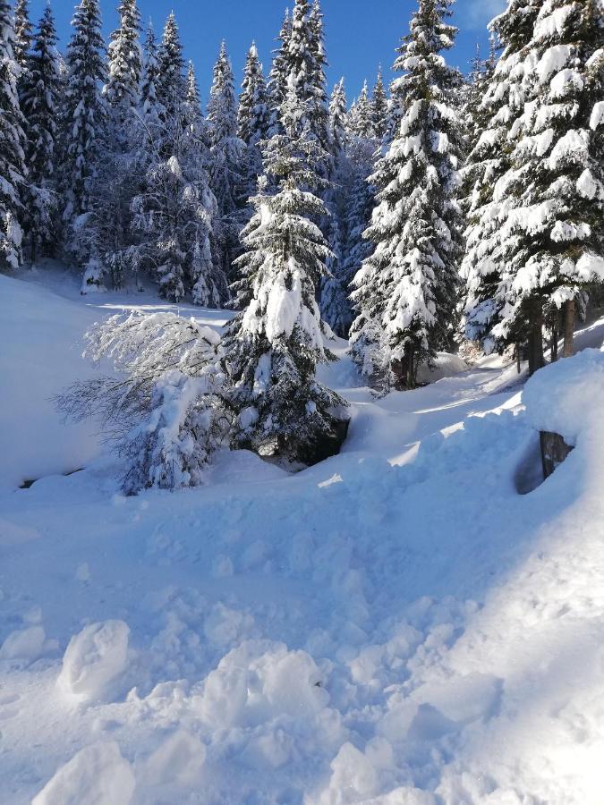 Brunarica Na Goreljeku Bohinj Ngoại thất bức ảnh