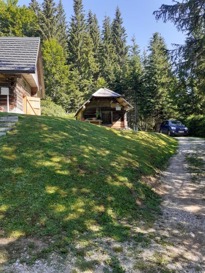 Brunarica Na Goreljeku Bohinj Ngoại thất bức ảnh