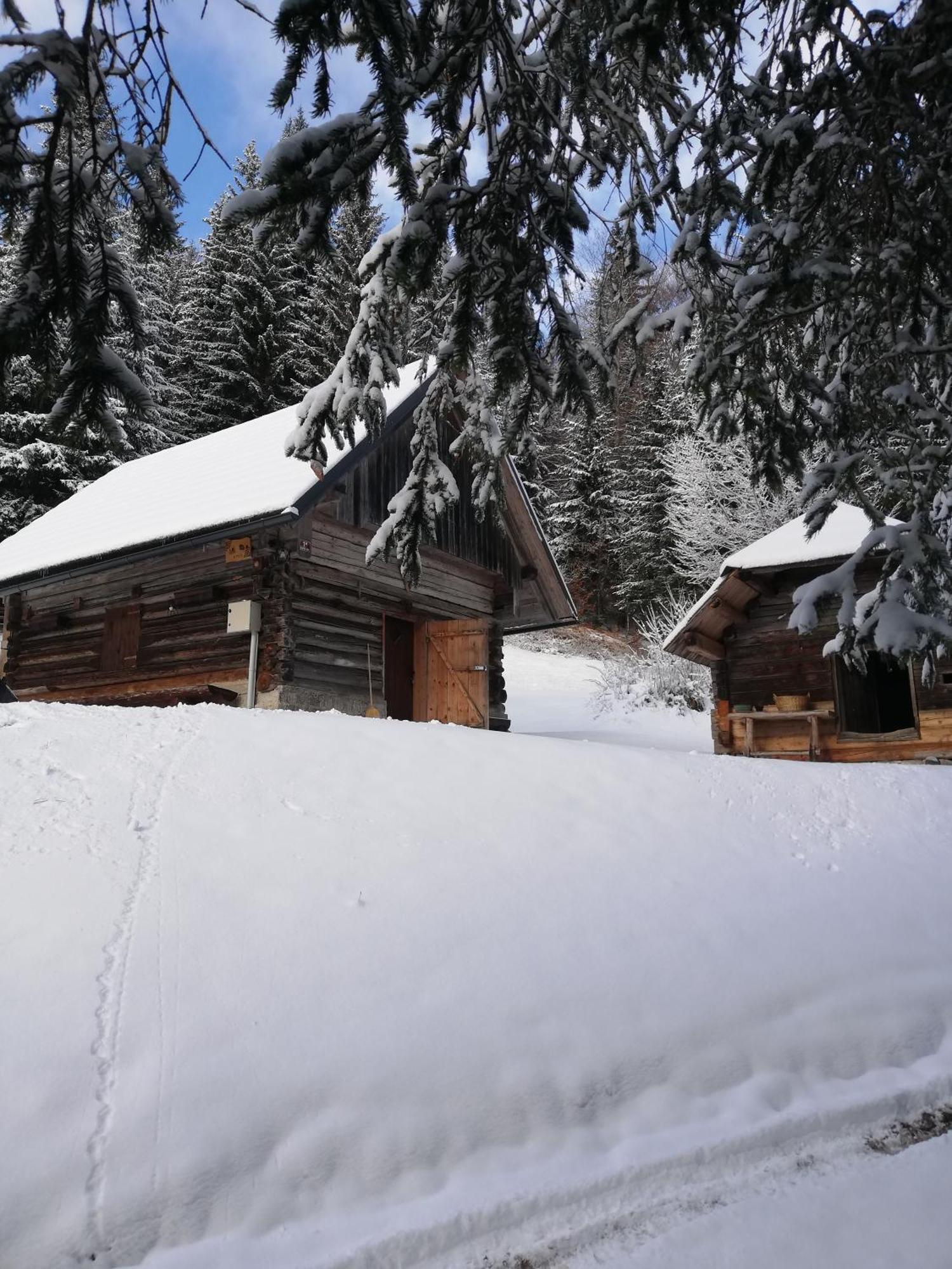 Brunarica Na Goreljeku Bohinj Ngoại thất bức ảnh